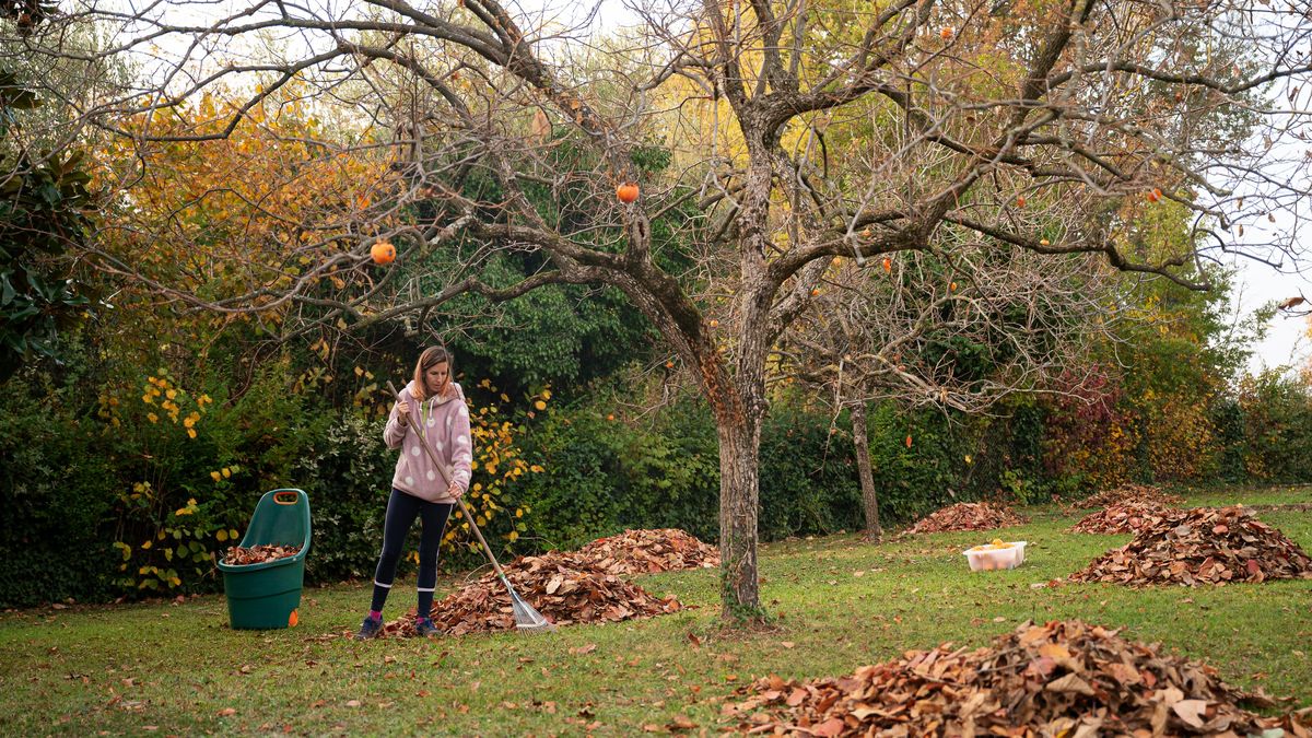 Pošlete zahradu spát, na jaře se vám odmění